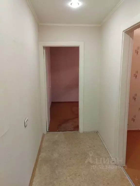 4-к кв. Оренбургская область, Оренбург Новая ул., 9 (61.0 м) - Фото 2