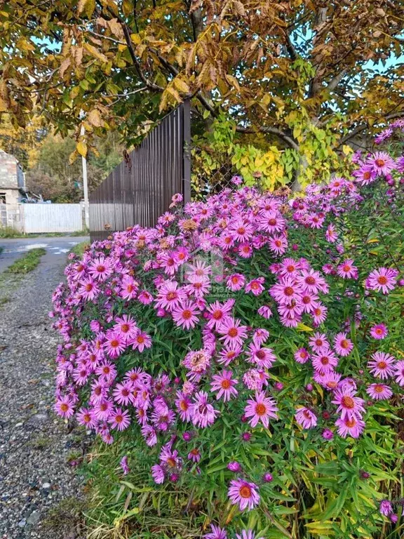 Дом в Калининградская область, Гурьевский муниципальный округ, ... - Фото 1