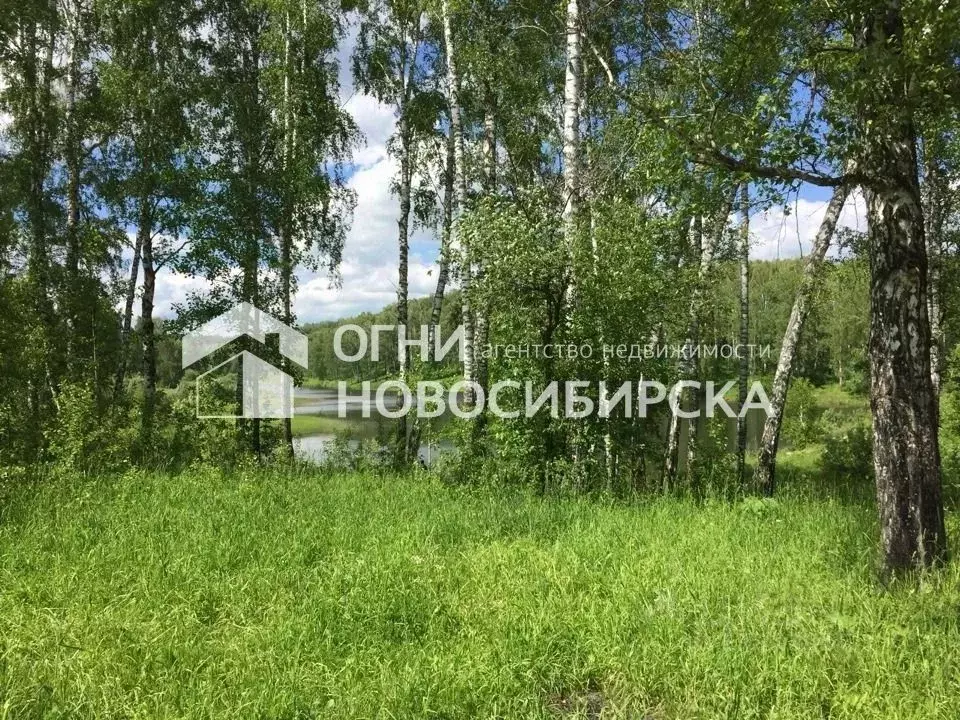 Участок в Новосибирская область, Искитимский район, с. Верх-Коен  ... - Фото 1