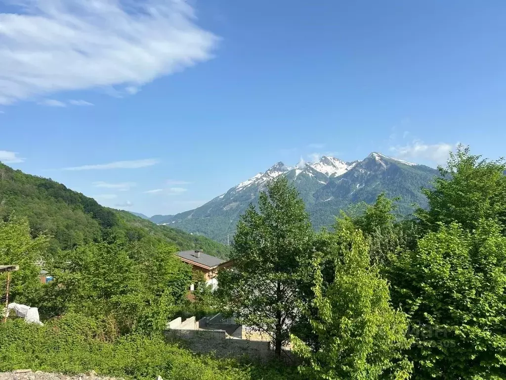 Участок в Краснодарский край, Сочи Красная Поляна пгт, 2-й Садовый ... - Фото 0