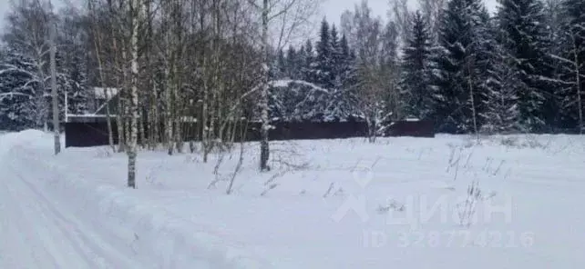 Участок в Московская область, Домодедово городской округ, с. Добрыниха ... - Фото 1