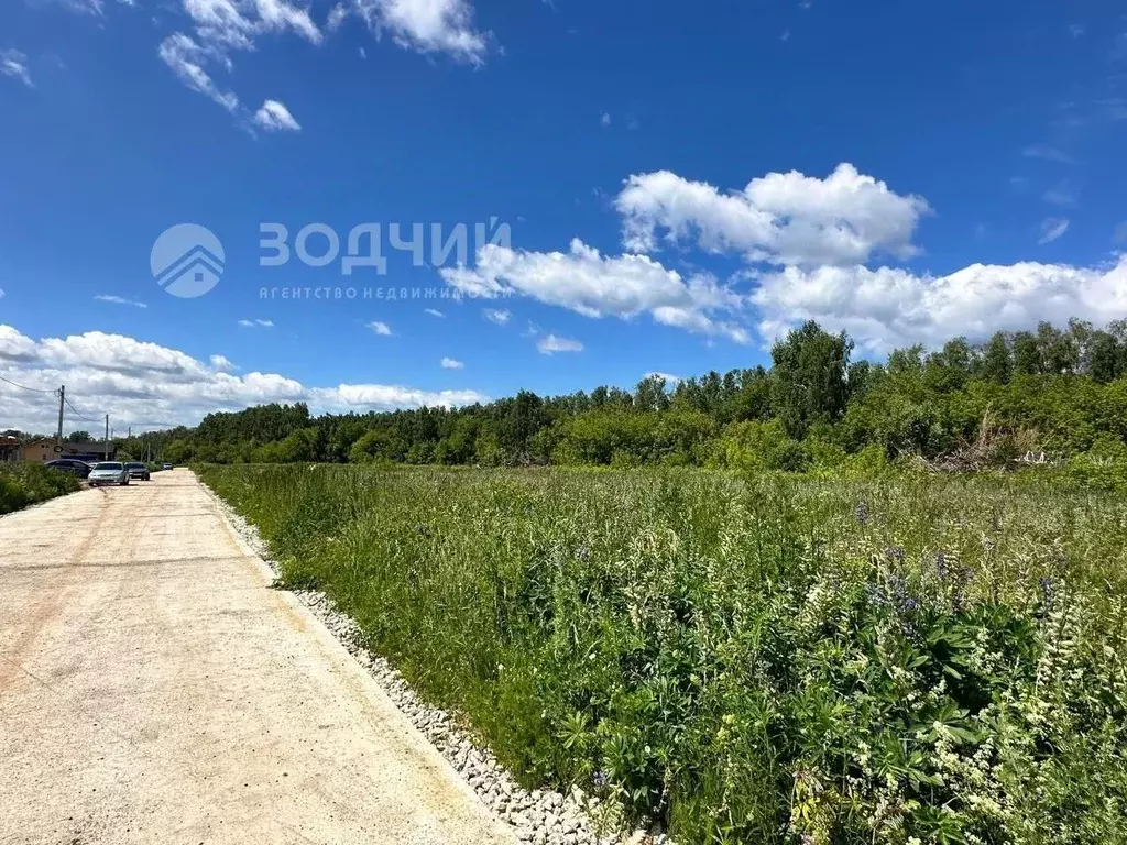 Участок в Чувашия, Чебоксарский муниципальный округ, д. Микши-Энзей ... - Фото 1