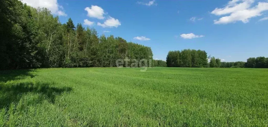 Участок в Тюменская область, Тюменский район, д. Зырянка  (40.0 сот.) - Фото 0