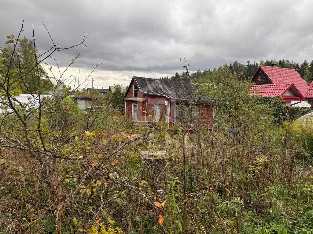 Участок в Ленинградская область, Кировский район, Мгинское городское ... - Фото 1