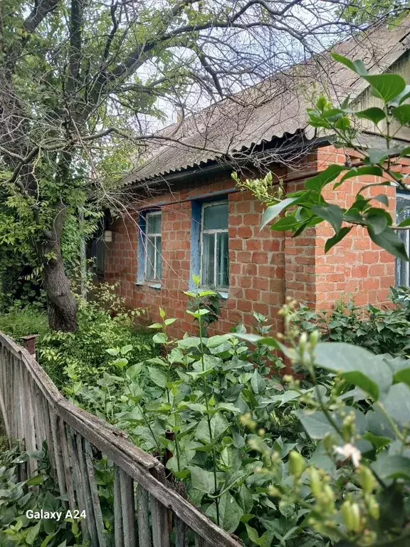Дом 42,6 м на участке 29 сот. - Фото 1