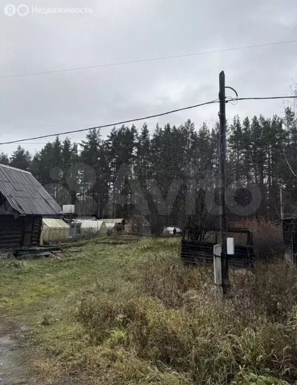 Участок в Екатеринбург, СНТ Янтарь, 2 (6.2 м) - Фото 2