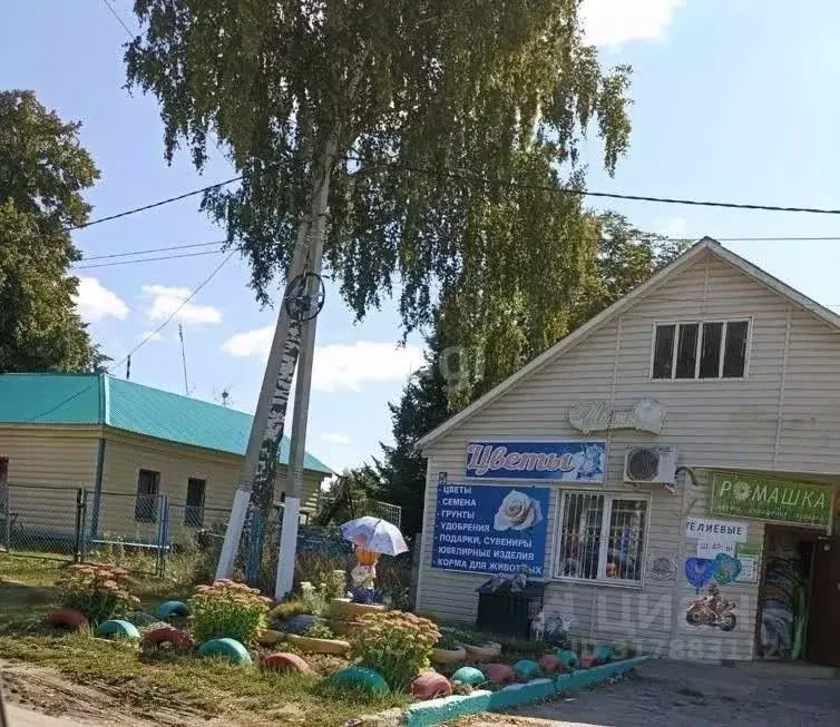 Торговая площадь в Тамбовская область, с. Гавриловка 2-я ул. ... - Фото 0