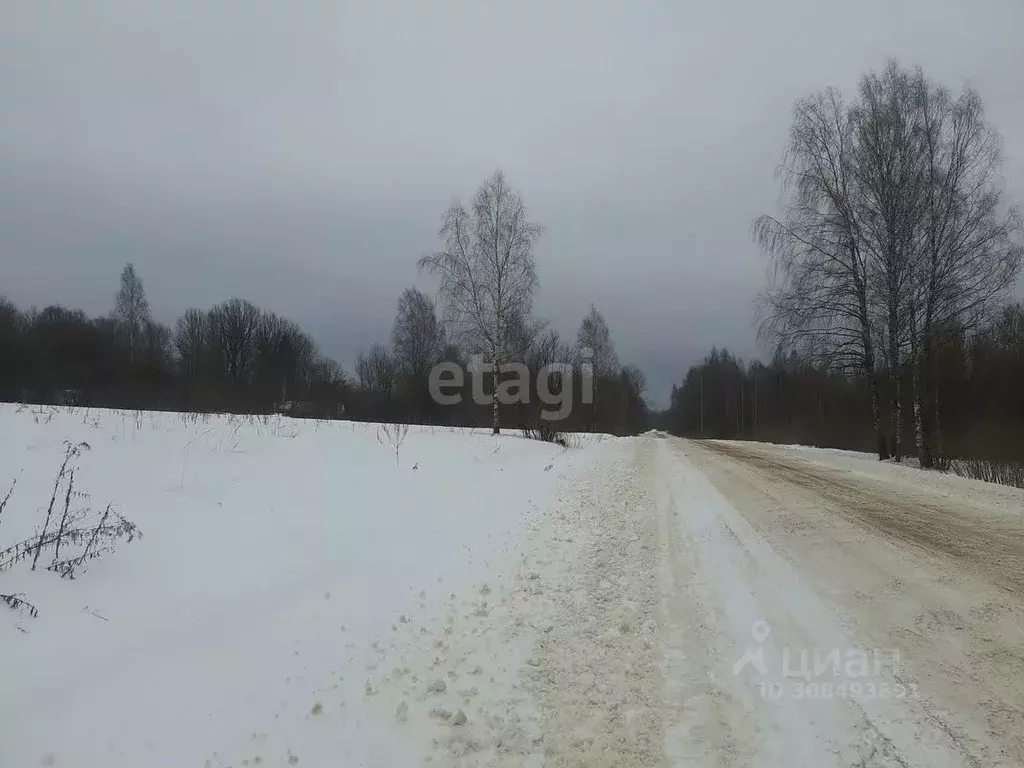 Участок в Псковская область, Островский район, Воронцовская волость, ... - Фото 1