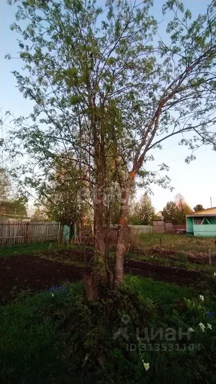 Участок в Архангельская область, Котласский муниципальный округ, ... - Фото 1