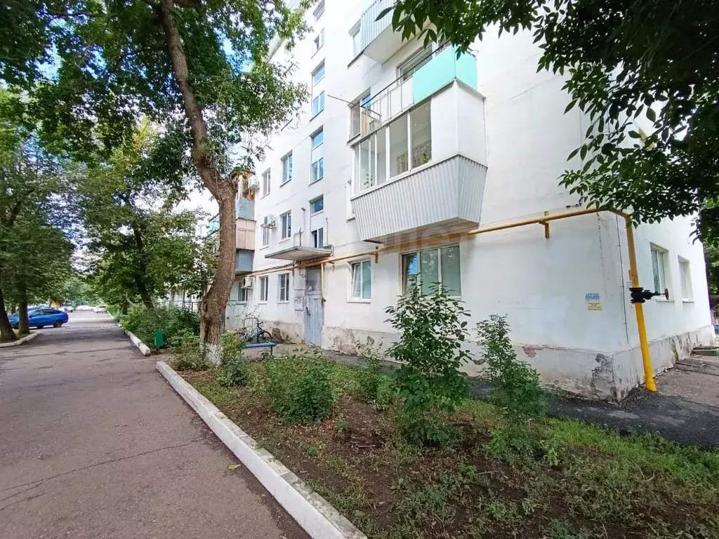 2-к кв. Оренбургская область, Оренбург Беляевская ул., 53 (41.1 м) - Фото 1