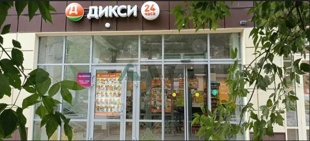 Габ Дикси до 8 лет окупаемости, 750 кв.м - Фото 0