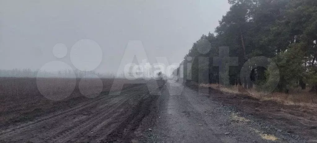 Участок 17,7 сот. (ИЖС) - Фото 1
