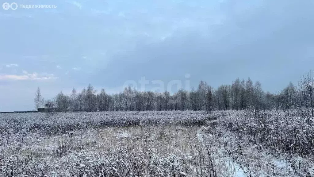 Участок в Тульская область, муниципальное образование Тула, село ... - Фото 0