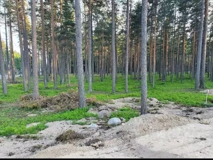 Участок в Ленинградская область, Выборгский район, Полянское с/пос, ... - Фото 1