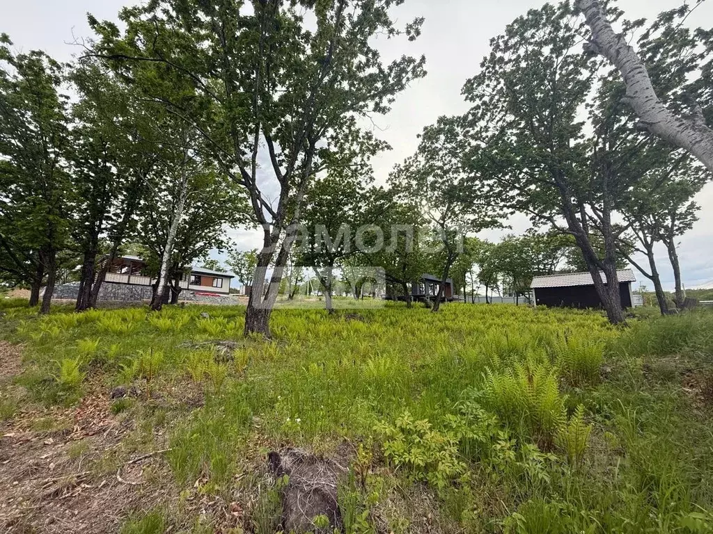 Участок в Приморский край, Надеждинский район, с. Вольно-Надеждинское ... - Фото 1