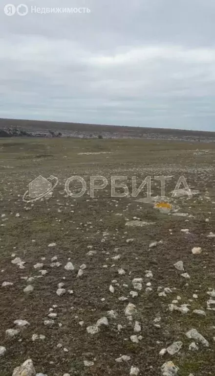 Участок в Республика Крым, посёлок городского типа Черноморское (170 ... - Фото 1