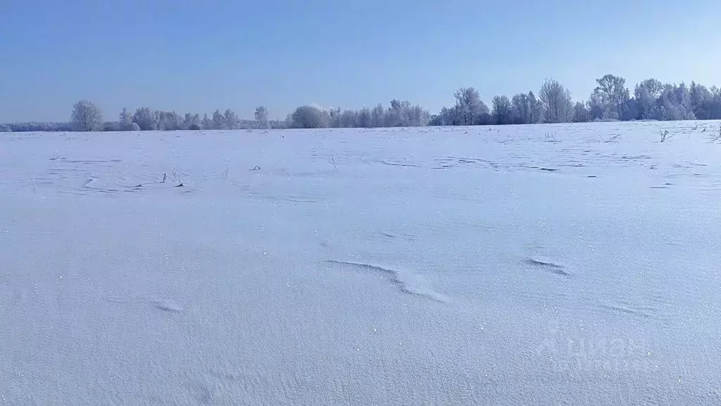 Участок в Московская область, Раменский муниципальный округ, д. ... - Фото 1