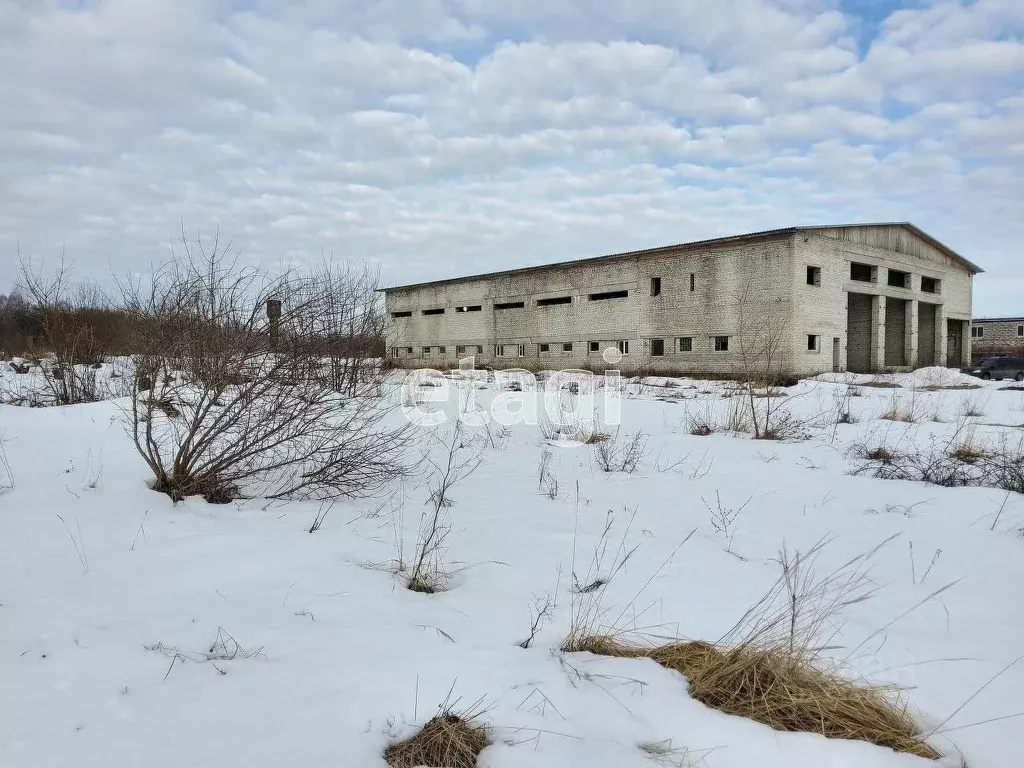 Помещение свободного назначения в Брянская область, Выгоничский район, ... - Фото 0