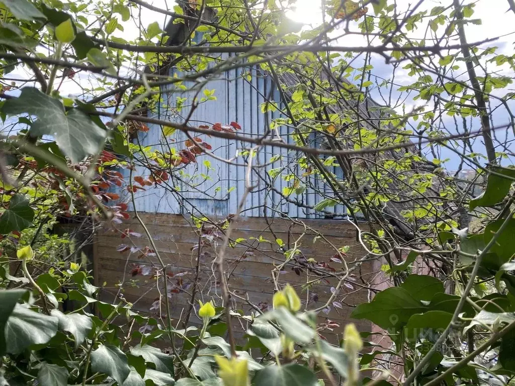 Дом в Краснодарский край, Сочи городской округ, с. Пластунка, Родник-1 ... - Фото 1