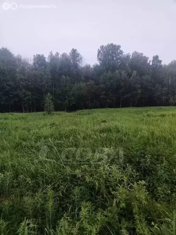 Участок в Тюменский район, деревня Решетникова (8 м) - Фото 0
