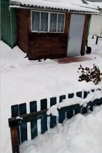 Дом в Новосибирская область, Сузунский муниципальный округ, с. Битки ... - Фото 1