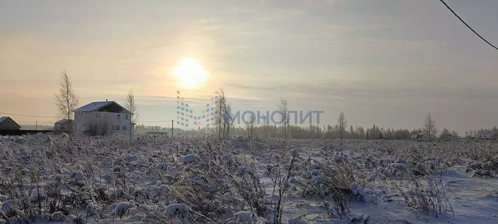 Участок в Нижегородская область, Богородский муниципальный округ, ... - Фото 1