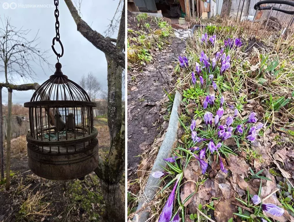 Дом в посёлок Ивановка, СДТ Отрадное, 8-й Дачный проезд (15 м) - Фото 2