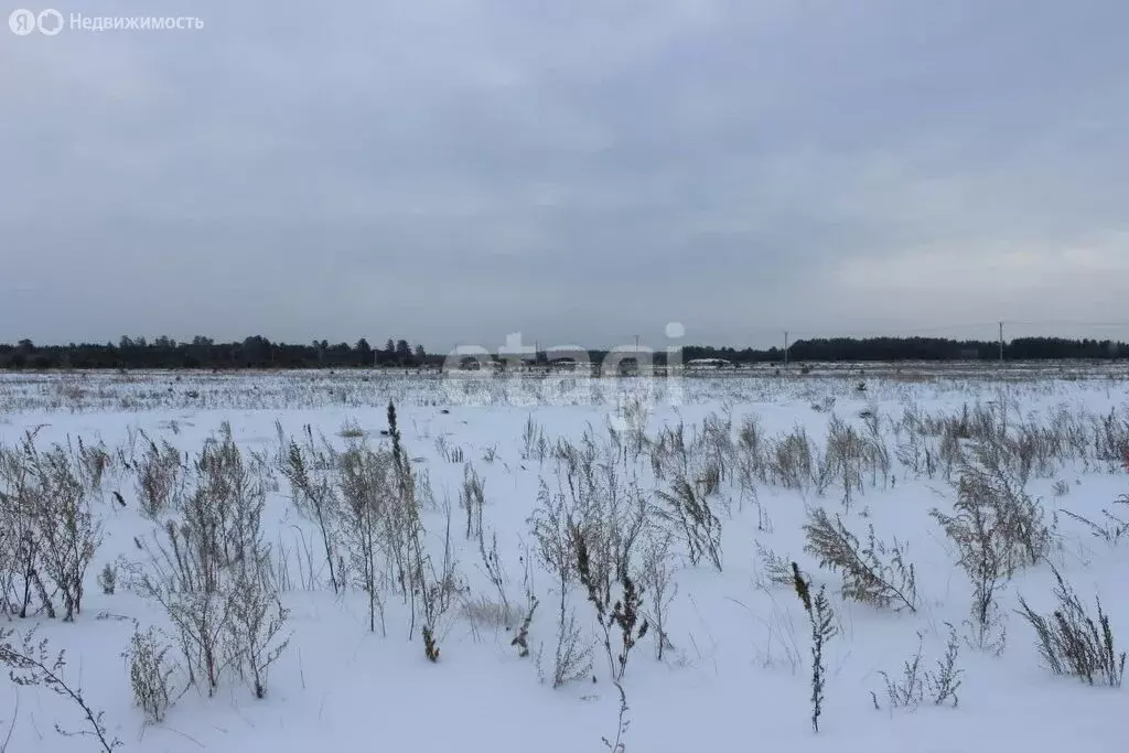Участок в село Верховино, улица 70 лет Октября (10.47 м) - Фото 2