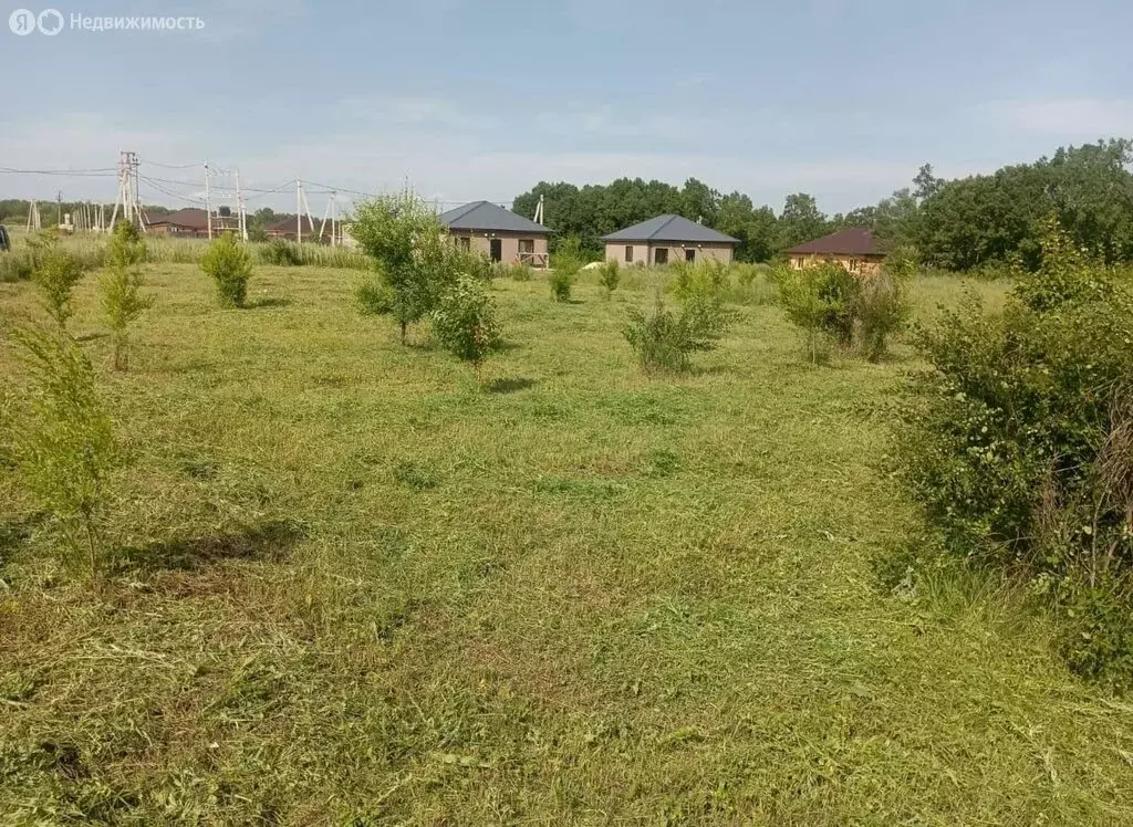 Участок в Амурская область, Благовещенский муниципальный округ, село ... - Фото 1