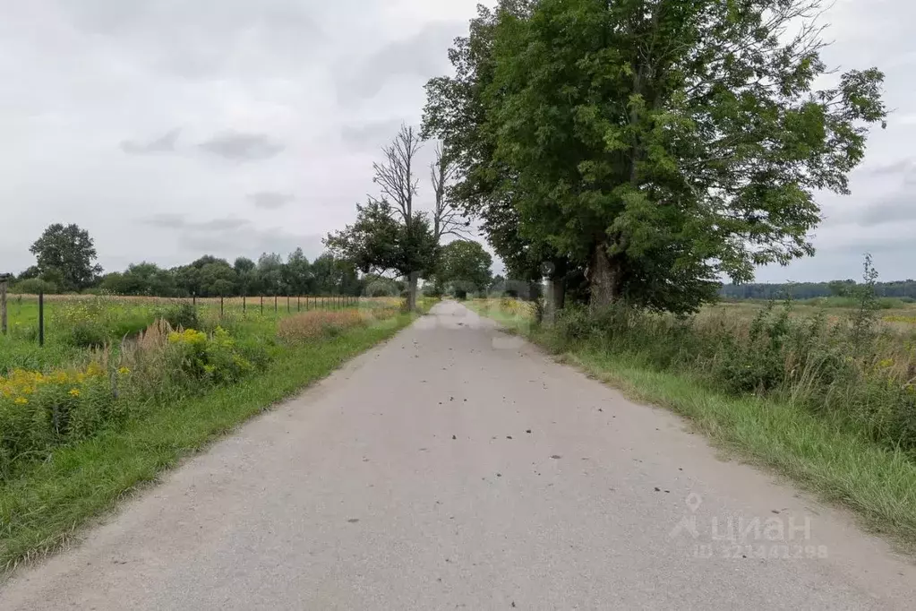 Участок в Калининградская область, Гвардейский муниципальный округ, ... - Фото 0