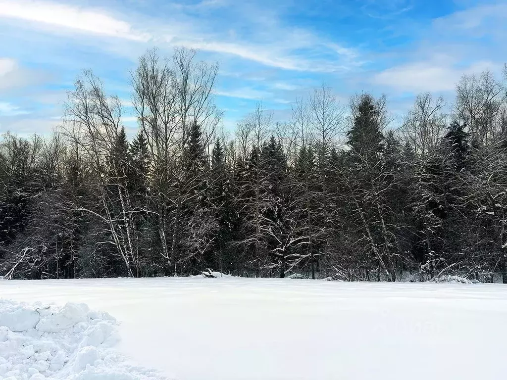 Участок в Московская область, Подольск городской округ, Пузиково кп 16 ... - Фото 2
