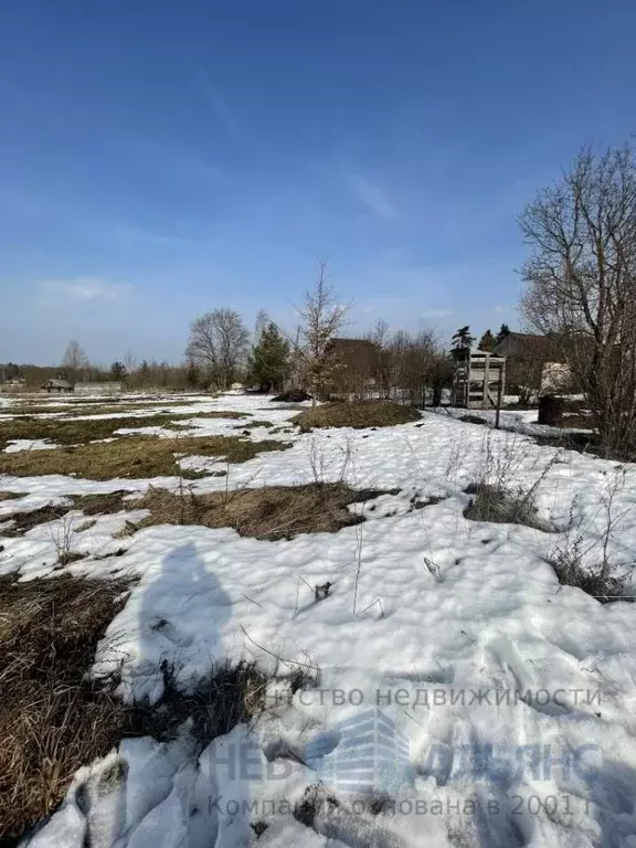 Участок в Ленинградская область, Гатчинский муниципальный округ, д. ... - Фото 1