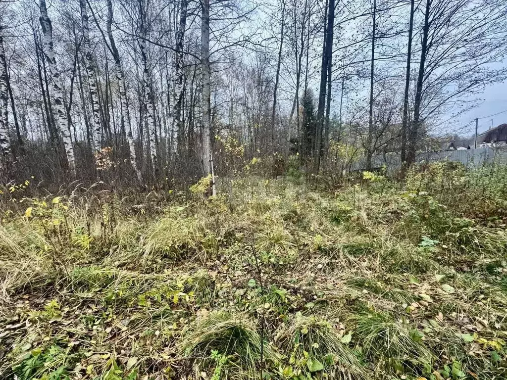 Участок в Владимирская область, Петушинское муниципальное образование, ... - Фото 1