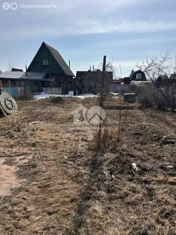 Участок в Новосибирск, СНТ Маяк, Основная улица, 779 (4.1 м) - Фото 2