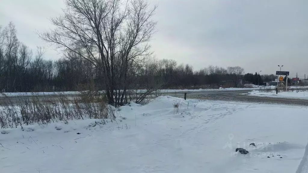 Участок в Хабаровский край, Хабаровский район, с. Ракитное  (66.0 ... - Фото 2