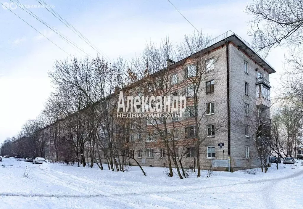 1-комнатная квартира: Санкт-Петербург, улица Дудко, 29к1 (29 м) - Фото 1