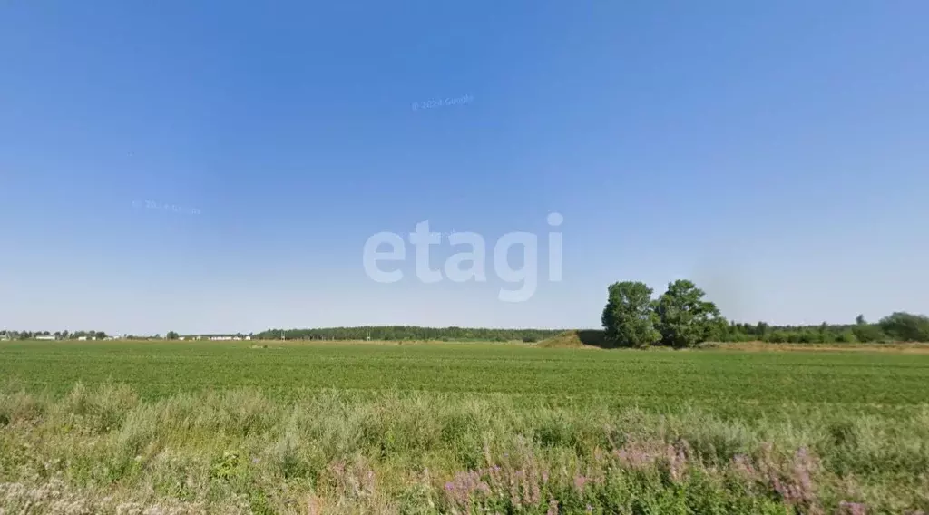 Участок в Ленинградская область, Ломоносовский район, Аннинское ... - Фото 0