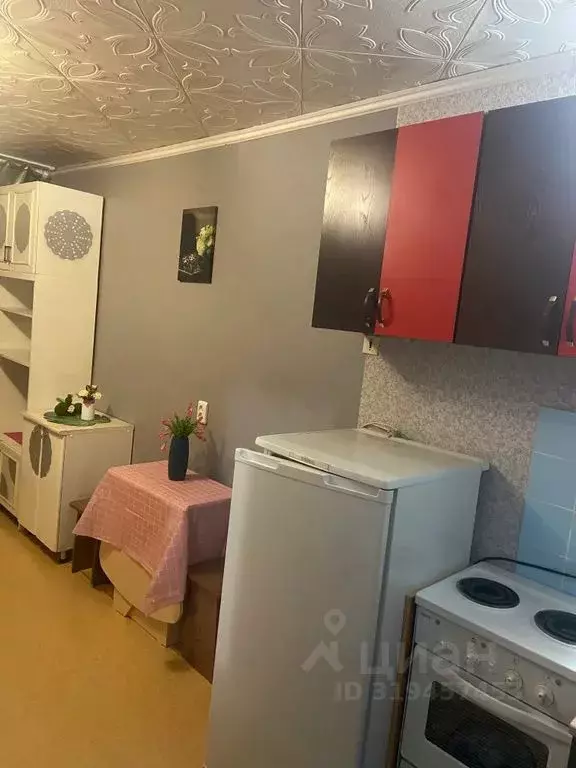Студия Красноярский край, Красноярск ул. Толстого, 45 (19.0 м) - Фото 1