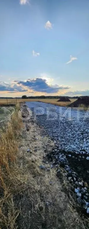 Участок в Свердловская область, Слободо-Туринский район, ... - Фото 0