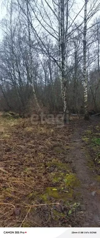 Участок в Псковская область, Печорский муниципальный округ, д. Изборск ... - Фото 2