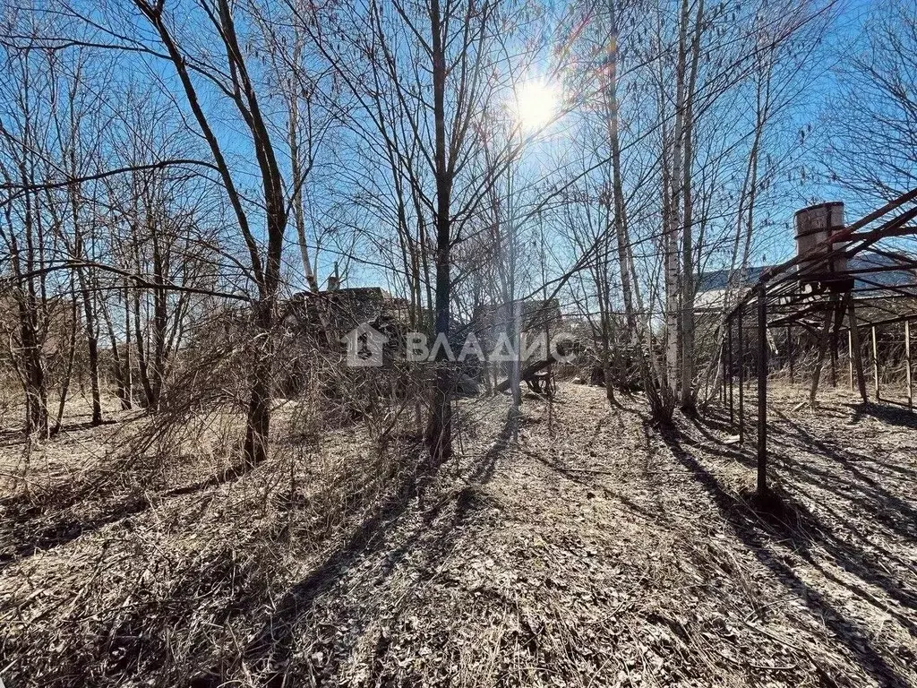 Участок в Московская область, Раменский муниципальный округ, с. Зюзино ... - Фото 0