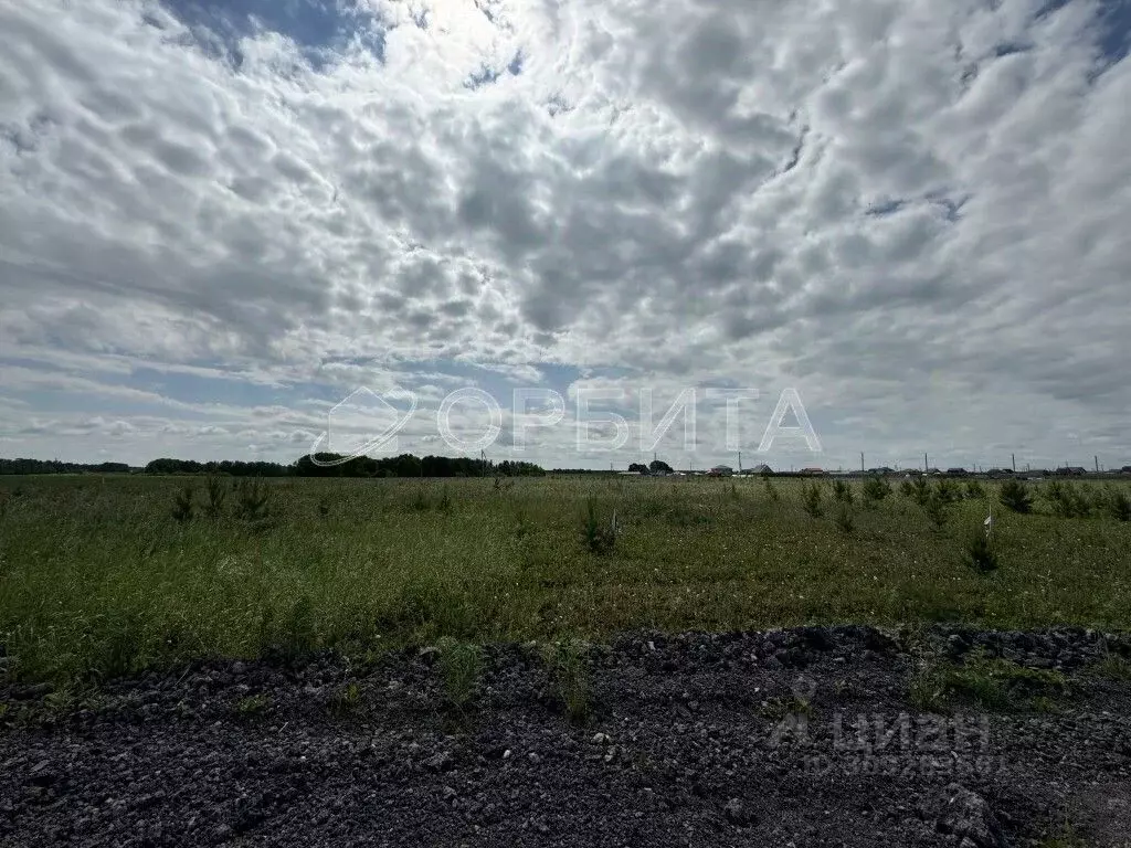 Участок в Тюменская область, Тюменский район, д. Малиновка, Вольные ... - Фото 1