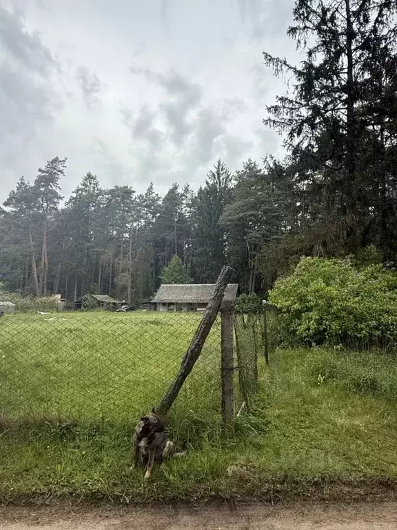 Участок в Калининградская область, Черняховский муниципальный округ, ... - Фото 0