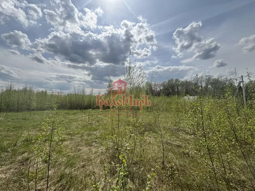 Участок в Сергиево-Посадский городской округ, садоводческое ... - Фото 1
