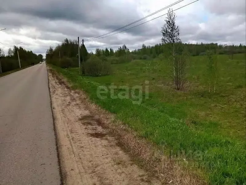 Участок в Костромская область, Кострома Знамя Труда СТ, 63 (4.5 сот.) - Фото 2