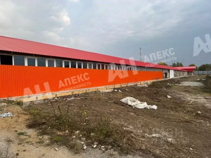 Склад в Московская область, Кашира городской округ, д. Руднево ул. ... - Фото 1