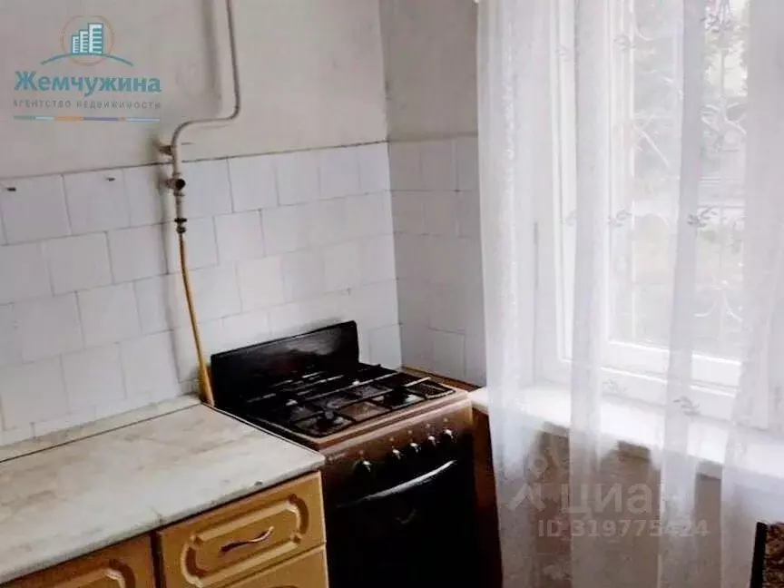 1-к кв. Ульяновская область, Димитровград ул. Королева, 6 (32.0 м) - Фото 0