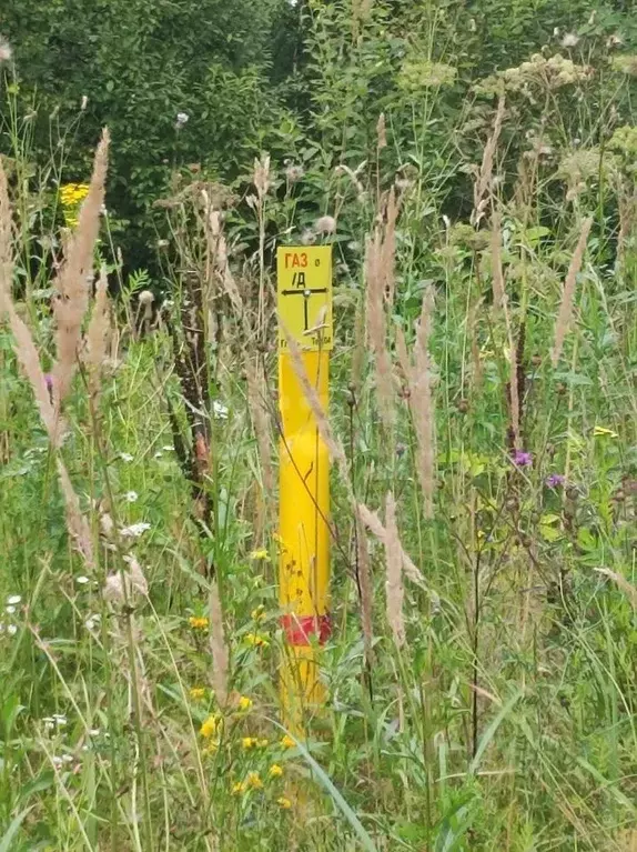 Участок в Калужская область, Калуга городской округ, д. Канищево ул. ... - Фото 2