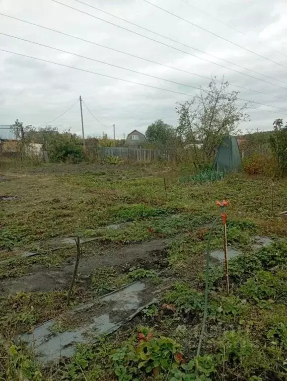 Участок в Пензенская область, Пенза Строитель СНТ, 444Б2 (5.61 сот.) - Фото 2