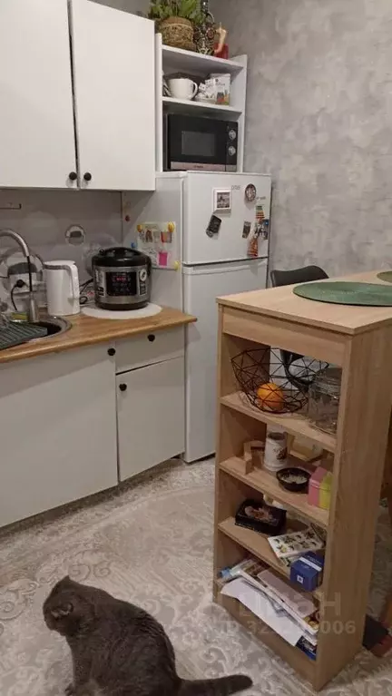 1-к кв. Тамбовская область, Тамбов ул. имени Сергея Лазо, 28 (19.0 м) - Фото 2